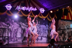 12-live-variety-show-under-tv-tower-knutschfleck-berlin-2026