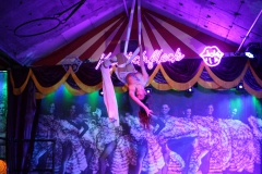 Beste-Idee-fuer-deinen-ultimative-Weihnachtsfeier-Dinner-Show-Bar-in-Berlin-Knutschfleck-Variete-Erlebnisrestaurant-Super-Club-am-Alexanderplatz-Fernsehturm-fuer-Gruppen-2