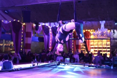 Knutschfleck-Variete-und-show-erlebnis-Restaurant-am-Alexanderplatz-Berlin16