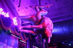 Angesagte-Idee-fuer-deinen-Abend-in-Berlin-Dinner-Show-Bar-Knutschfleck-Variete-Erlebnisrestaurant-Super-Club-am-Alexanderplatz-Fernsehturm-fuer-Gruppen