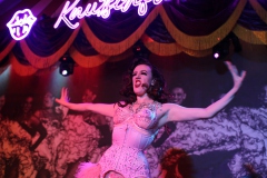 best-Entertainment-Bar-and-Variete-Dinner-Show-Restaurant-Berlin-Alexanderplatz-09.02.2026-15