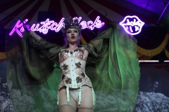 41-best-Entertainment-Bar-and-Variete-Dinner-Show-Restaurant-Berlin-Alexanderplatz-2026